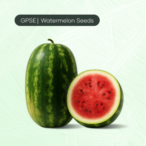 WM-C-H1-005 – Vibrant crimson oblong, popular in markets