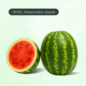 WM-C-H1-007 – Round crimson with deep red flesh