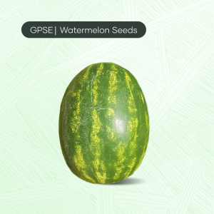 WM-C-H1-013 – Half oblong crimson, medium size