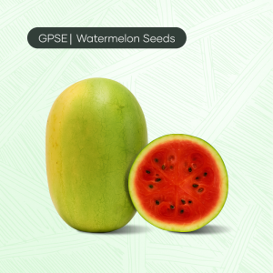 WM-C-H1-028 – Charleston gray, excellent shelf life