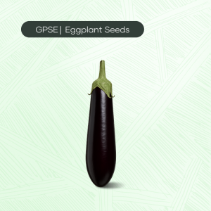 EG-C-H1-001 – 37 Hybrid Seed