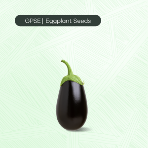 EG-C-H1-004 – 500 Hybrid Seed