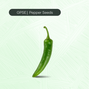 PP-C-H1-001 – GV-29 Hybrid Seed