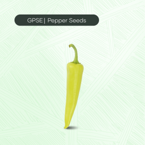 PP-C-H1-003 – Zaher Hybrid Seed
