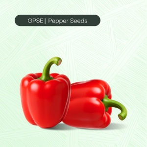 PP-C-H1-007 – Al Jawad Hybrid Seed