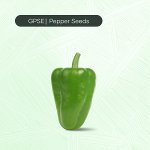 PP-C-H1-015 – RS-18 Hybrid Seed