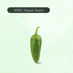 PP-C-H1-017 – RS-11 Hybrid Seed