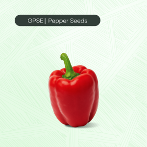 PP-C-H1-019 – RS-K7 Hybrid Seed