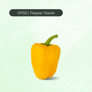 PP-C-H1-020 – RS-K5 Hybrid Seed