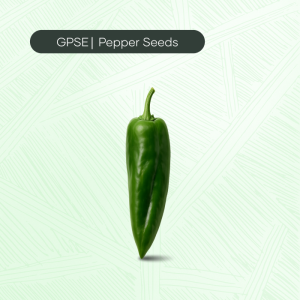 PP-C-H1-023 – GV-27 Hybrid Seed