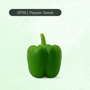 PP-C-H1-026 – 32 Hybrid Seed