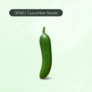 CU-C-H1-005 – 47*OZ Hybrid Cucumber Seed