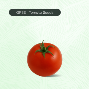 TM-C-H1-001 – 116 Hybrid Tomato Seed